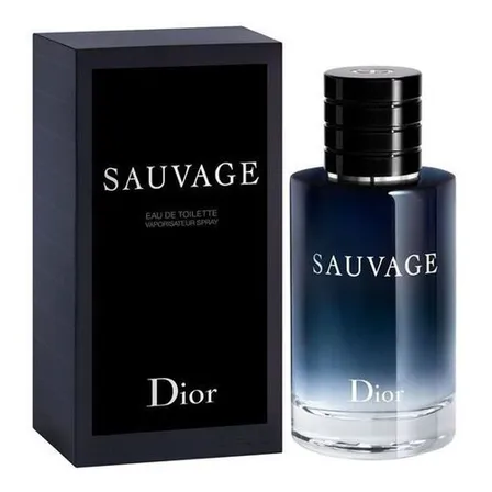 Perfume Masculino Dior Sauvage 100ml Eau De Toilette